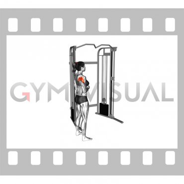 Cable Standing Shoulder External Rotation (female)