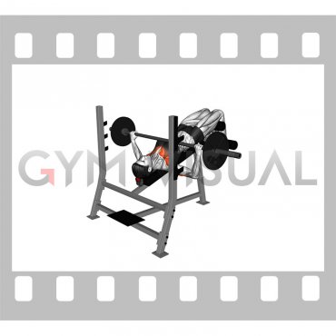 Barbell Decline Wide Grip Press (female)