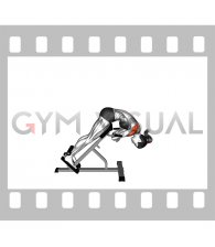 45 degrees Back Extension Scapular Adduction (female)