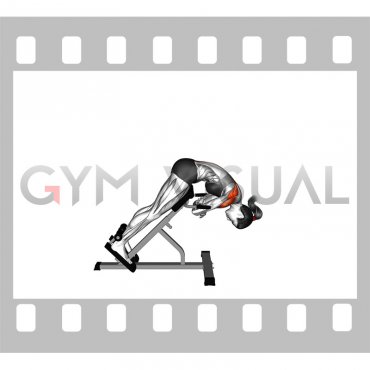 45 degrees Back Extension Scapular Adduction (female)