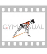 Resistance Band One Arm Bent Over Row (female)