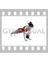 Kettlebell Plank Pass Through (female)