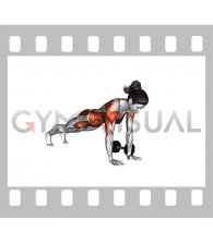 Dumbbell Plank Pass Through (female)