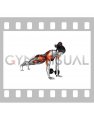 Dumbbell Plank Pass Through (female)