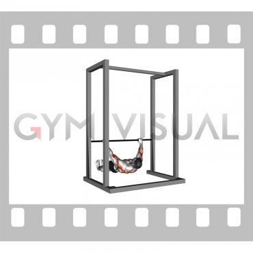 Inverted Row