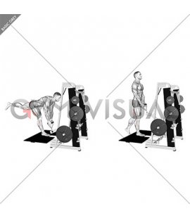 Lever Belt Single Leg Romanian Deadlift (male)