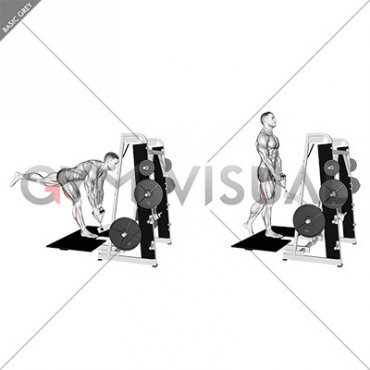 Lever Belt Single Leg Romanian Deadlift (male)