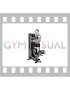 Lever Kneeling Twist