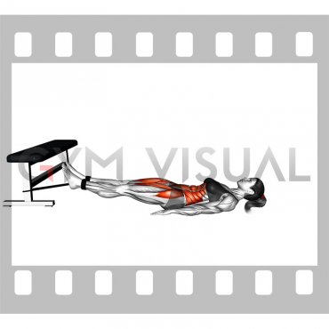 Band jack knife sit-up (female)