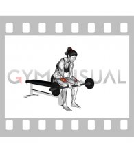 Barbell Revers Wrist Curl (VERSION 2) (female)