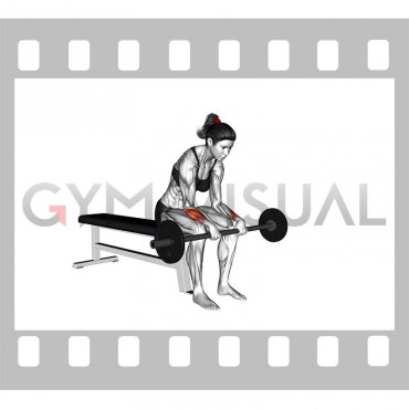 Barbell Revers Wrist Curl (VERSION 2) (female)