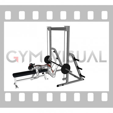 Smith Reverse Hyperextension (female)