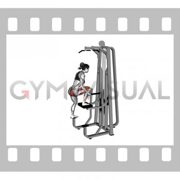 Lever Assisted Leg Press (female)