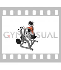 Lever Alternating Narrow Grip Seated Row (plate loaded) (female)