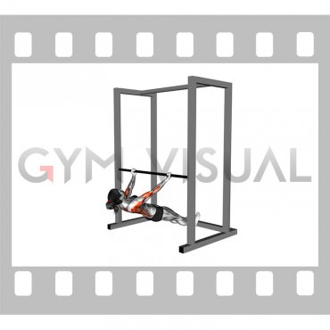 Supinated Grip Inverted Row (female)