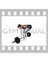 Barbell Pendlay Row (female)