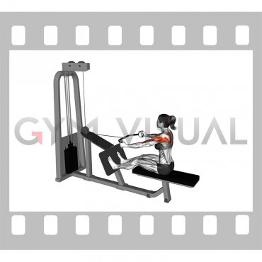 Cable Rear Delt Row (parallel bar) (female)