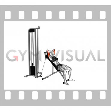 Cable Rope Incline Tricep Extension (female)