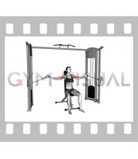 Cable Seated Overhead Curl (female)
