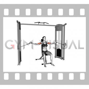 Cable Seated Overhead Curl (female)