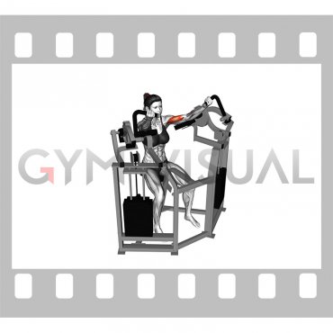 Lever Bicep Curl (female)