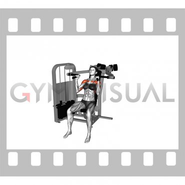 Lever Seated Hammer Grip Shoulder Press (female)