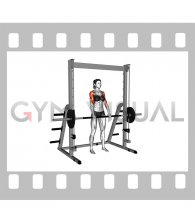 Smith Upright Row (female)
