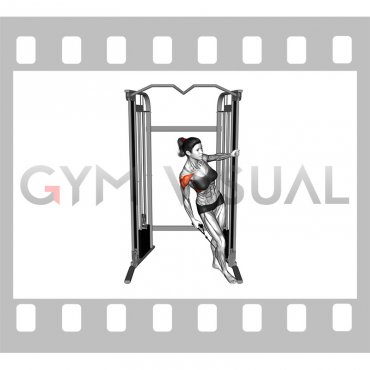 Cable Leaning Lateral Raise (female)