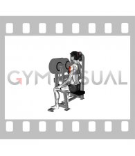 Lever Lateral Raise (VERSION 2) (female)