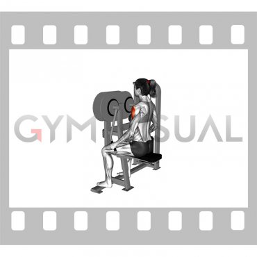 Lever Lateral Raise (VERSION 2) (female)