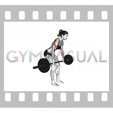 Barbell Rear Delt Row (female)