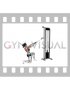 Cable Half Kneeling Face Pull (female)