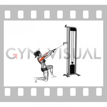 Cable Half Kneeling Face Pull (female)