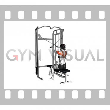 Cable Seated Reverse Fly (female)
