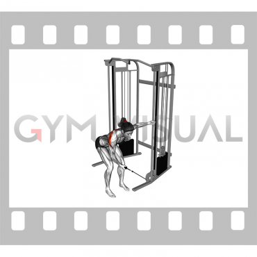 Cable One Arm Reverse Fly (female)