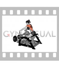 Lever Seated Row (plate loaded) (female)
