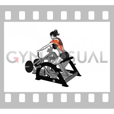 Lever Seated Row (plate loaded) (female)