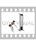 Cable Palm Rotational Row (female)
