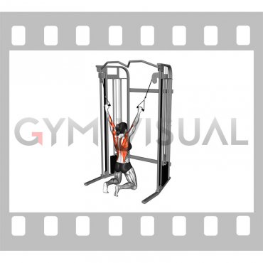 Cable Parallel Grip Lat Pulldown on Floor (female)