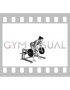 Lever Romanian Deadlift (plate loaded) (female)