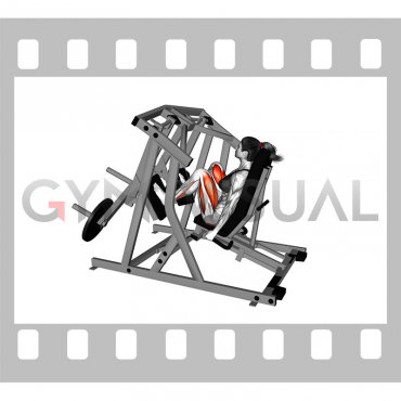 Lever Alternate Leg Press (plate loaded) (female)