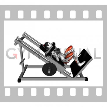 Sled Wide Hack Squat (female)