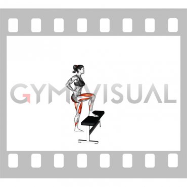 Bodyweight Step-up (VERSION 2) (female)