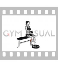 Dumbbell Seated One Leg Calf Raise Hammer Grip (female)