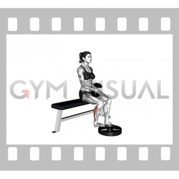 Dumbbell Seated One Leg Calf Raise Hammer Grip (female)