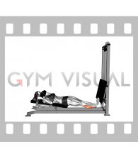 Sled Lying Calf Press (female)