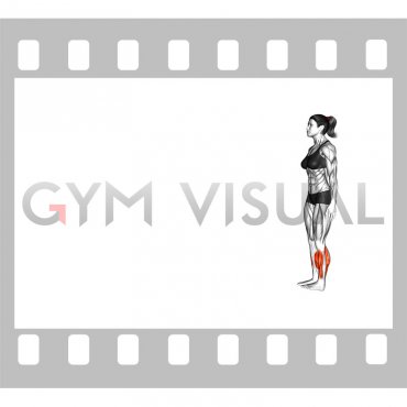 Heel Walk (female)