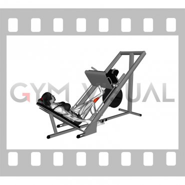 Sled One Leg Calf Press on Leg Press (female)