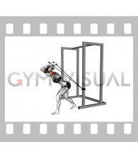 Band High Pulley Overhead Triceps Extension (female)
