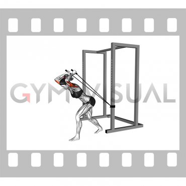Band High Pulley Overhead Triceps Extension (female)
